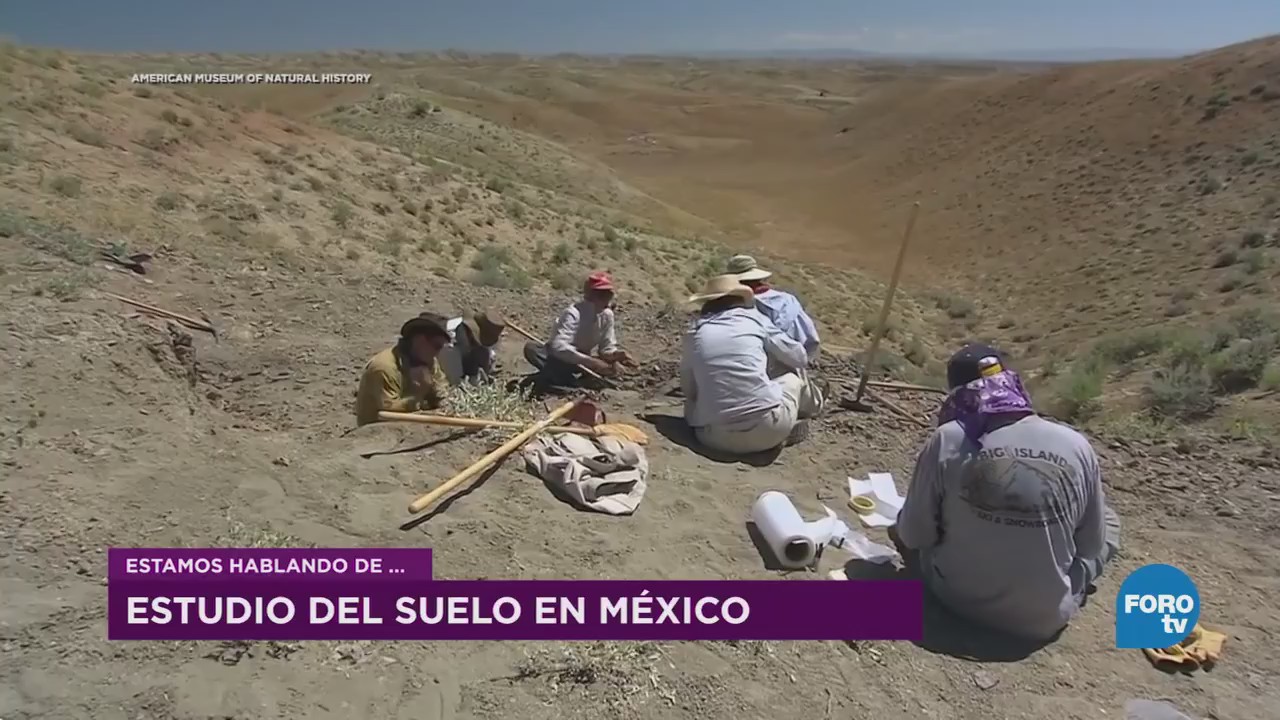 Estudio Suelo México Elizabeth Solleiro Geología