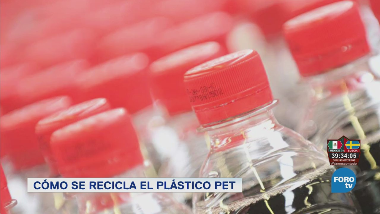 Planta Recicladora Pet Recorrido Más Grande De México