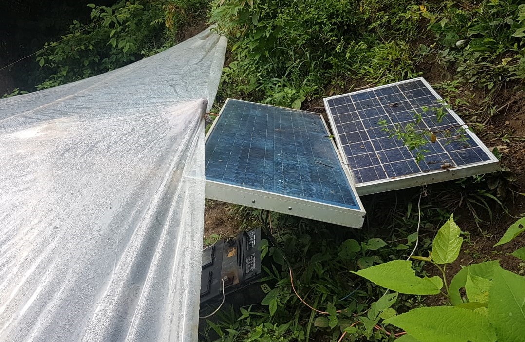Hallan montaña Costa Rica vivero marihuana energía solar