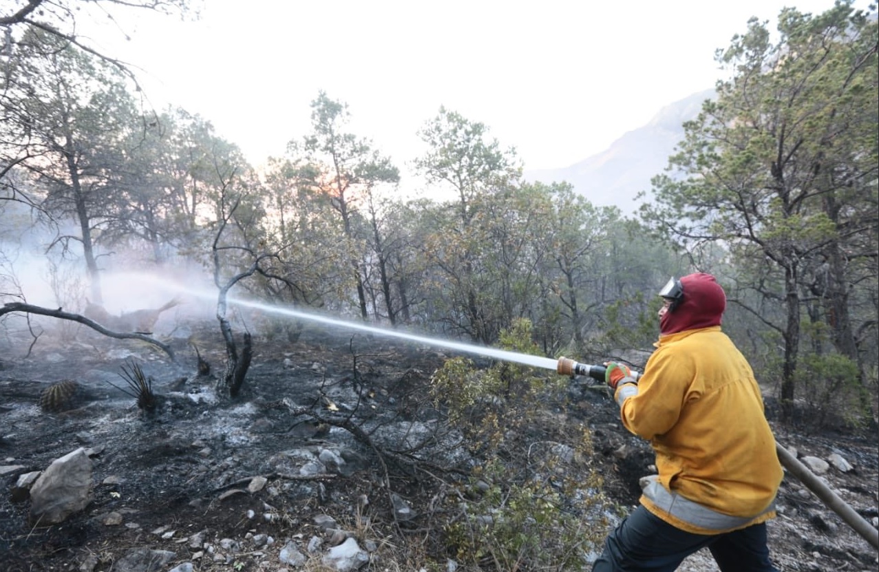 Incendio consume más de 600 hectáreas en Arteaga, Coahuila