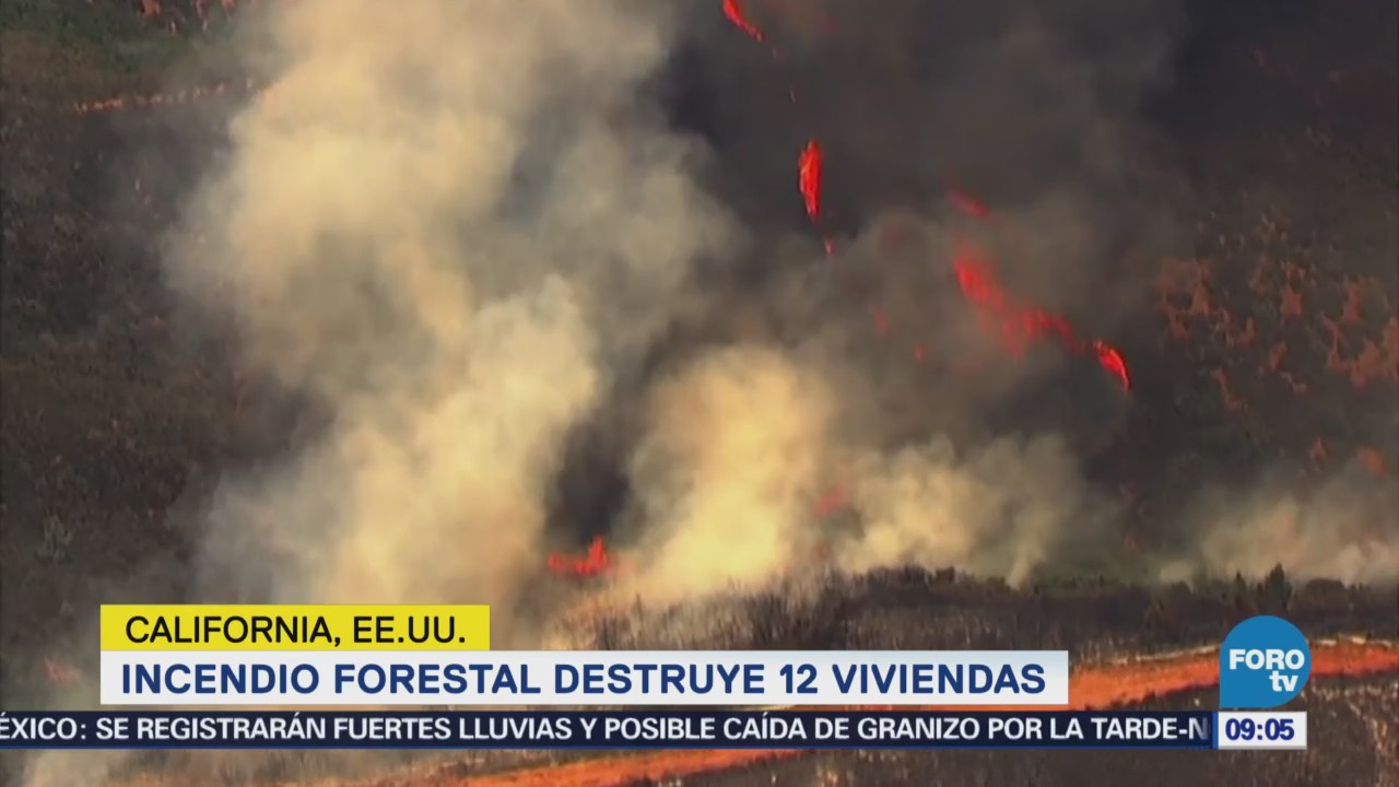 Incendio forestal en California destruye 12 viviendas