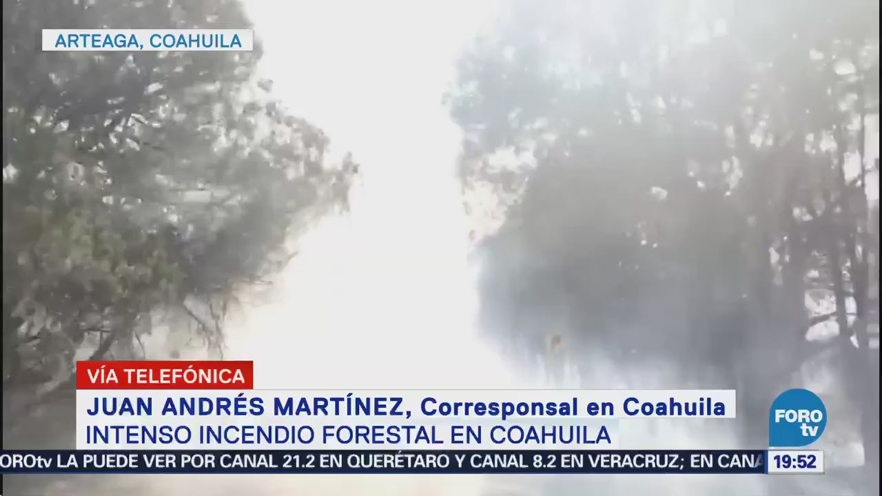 Intenso Incendio Sierra Arteaga Coahuila Ecología