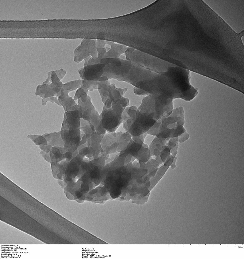 Material polimérico del sensor visto en el microscopio