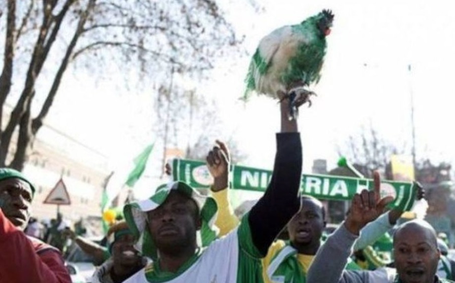 Hinchas nigerianos ingresar estadios mundialistas pollos