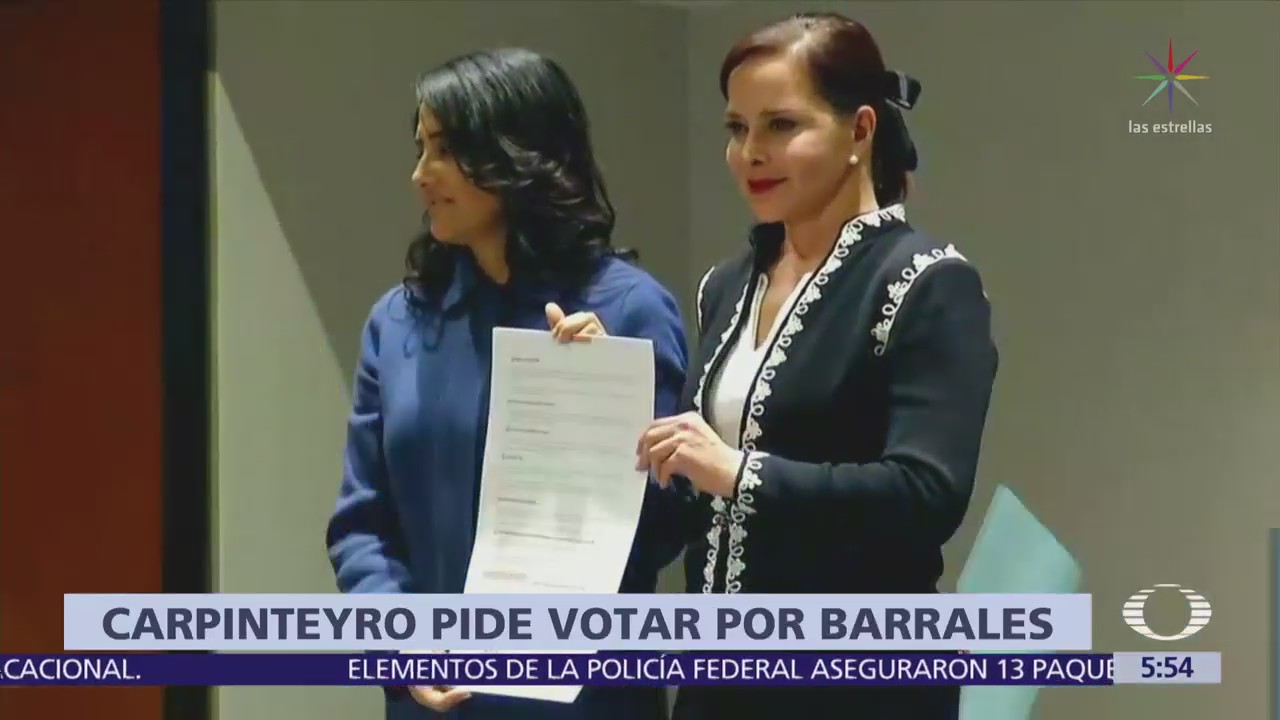 Purificación Carpinteyro pide votar por Alejandra Barrales