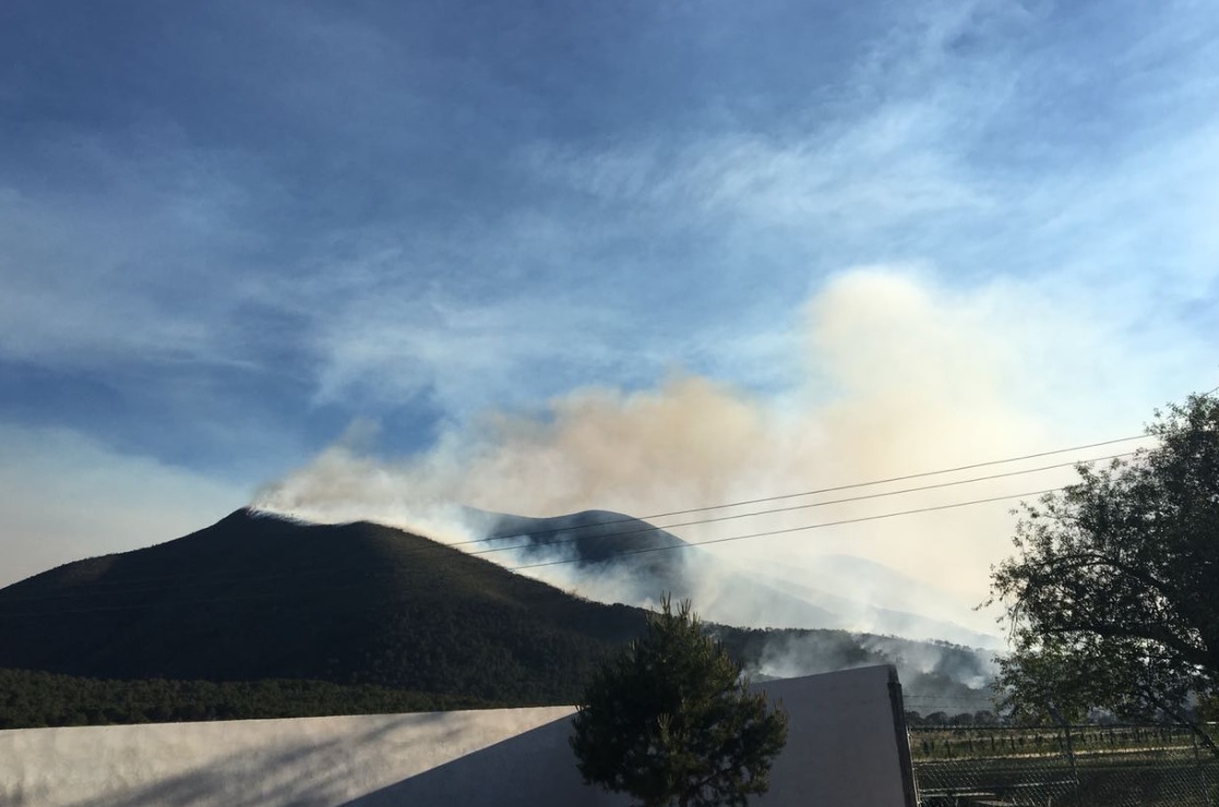 Incendio forestal devasta casi 800 hectáreas sierra de Arteaga, Coahuila