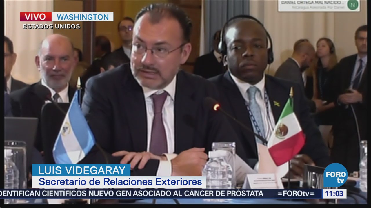Videgaray participa en la 48 asamblea de la OEA