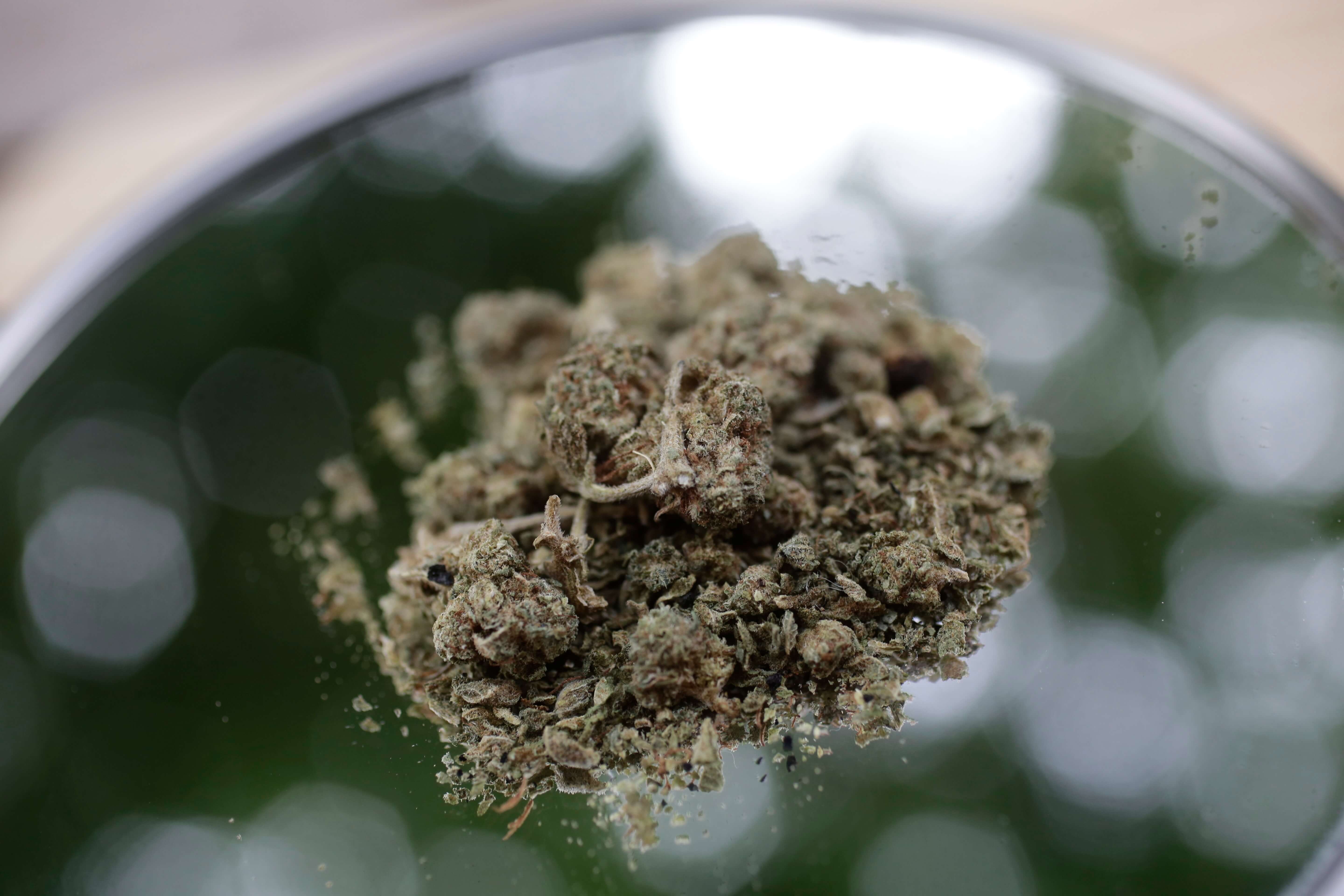 SCJN concede amparo para importar semillas de marihuana
