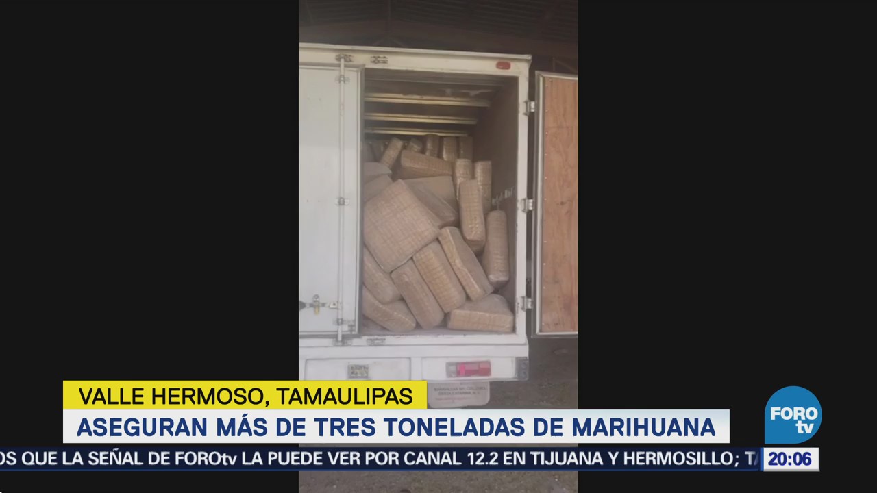 Aseguran Toneladas Marihuana Valle Hermoso Tamaulipas