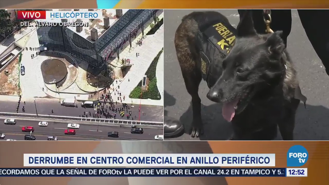 Binomios caninos revisan plaza Artz Pedregal tras derrumbe