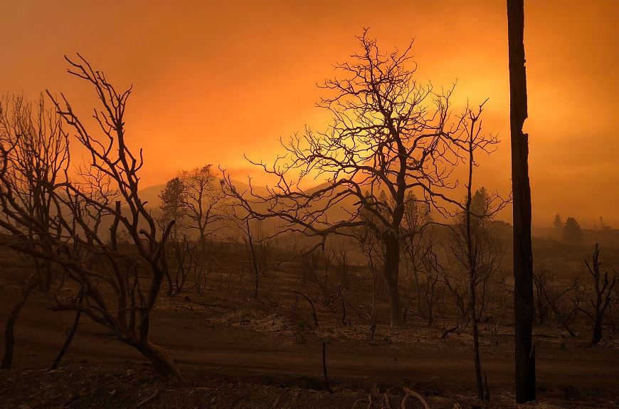 Trump declara emergencia en California por los incendios