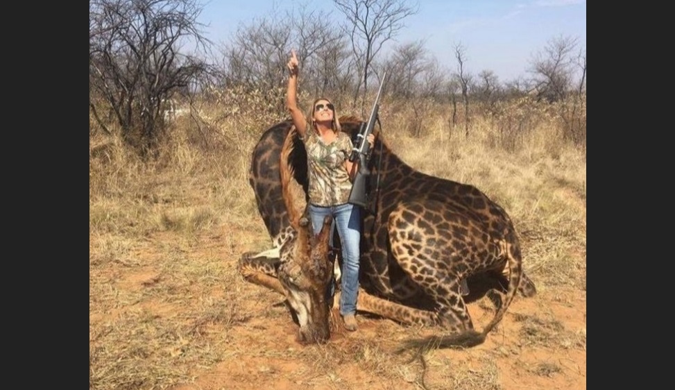 Cazadora de EU presume en Facebook que mató a una jirafa