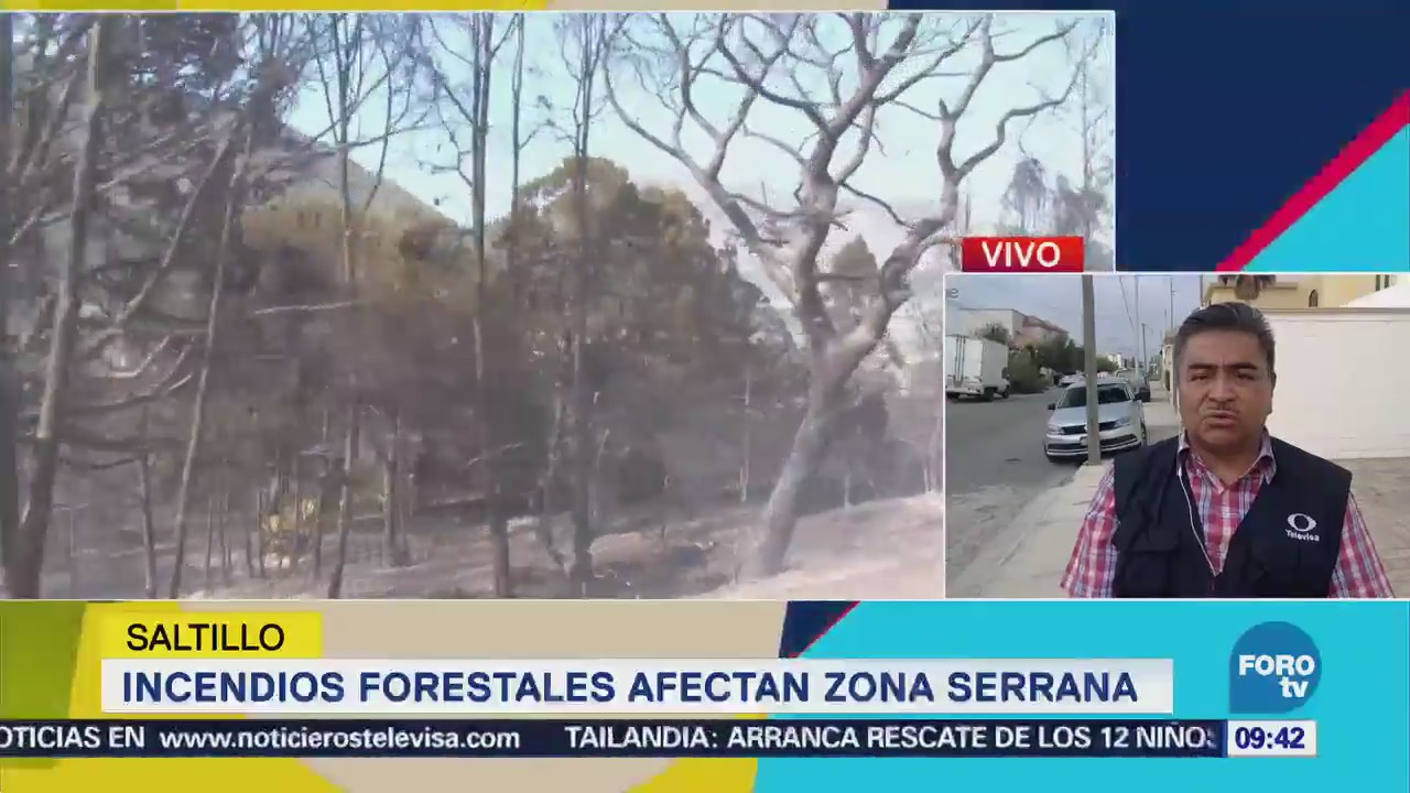 Incendios Forestales Afectan Zona Serrana Saltillo