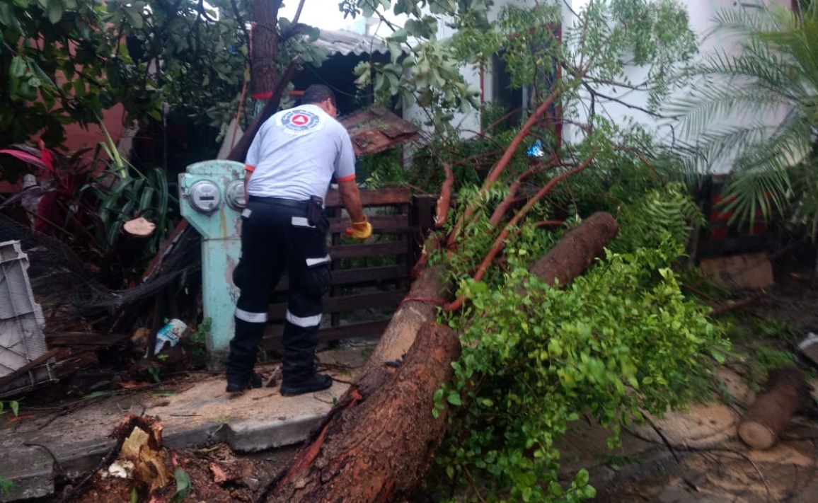 Autoridades de Colima reportan afectaciones por onda tropical 14