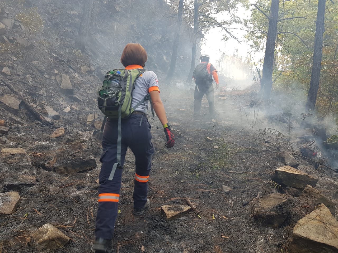 Incendio forestal La Muralla, en Nuevo León, es controlado