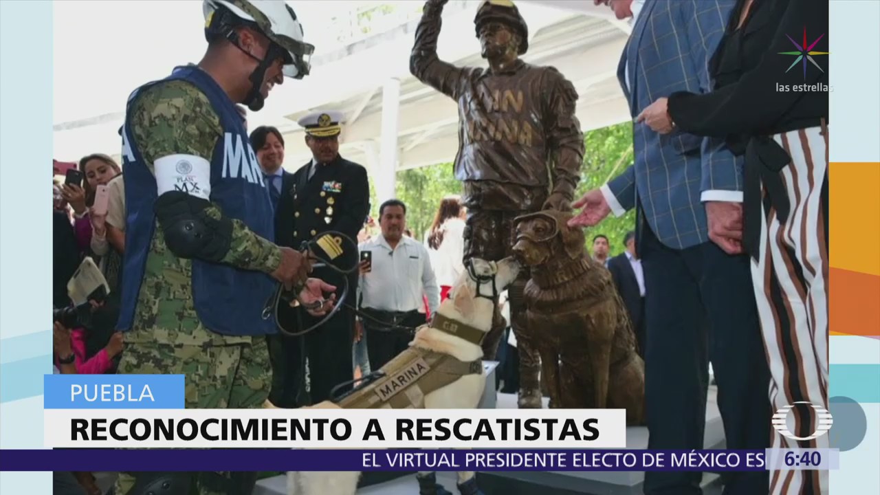Develan en Puebla estatua de ‘Frida’, la perrita rescatista