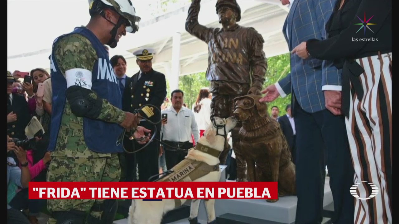 Develan estatua de la perrita Frida, en Puebla