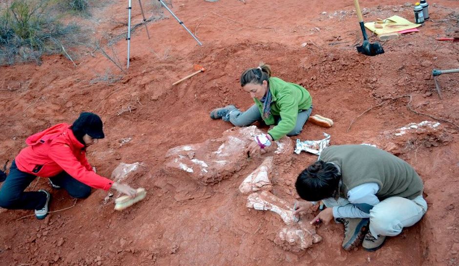 Hallazgo de fósiles Argentina, pistas de evolución