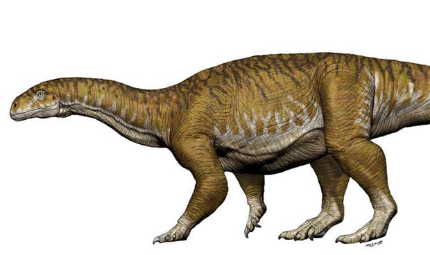 representacion-artistica-ingentia-prima-dinosaurio-hallado-san-juan-argentina