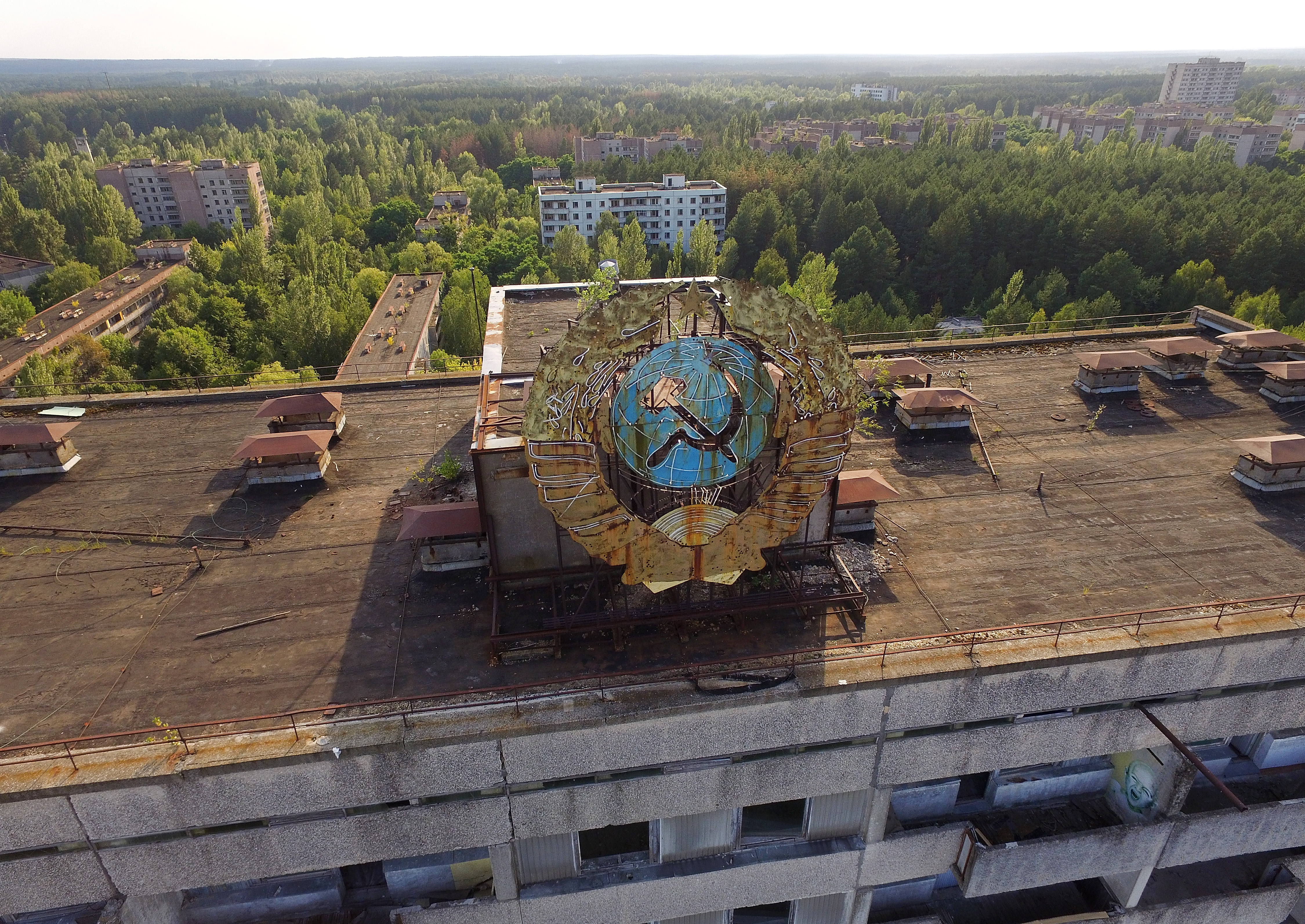 Hongos radiactivos de Chernóbil podrían servir como alimento en el espacio