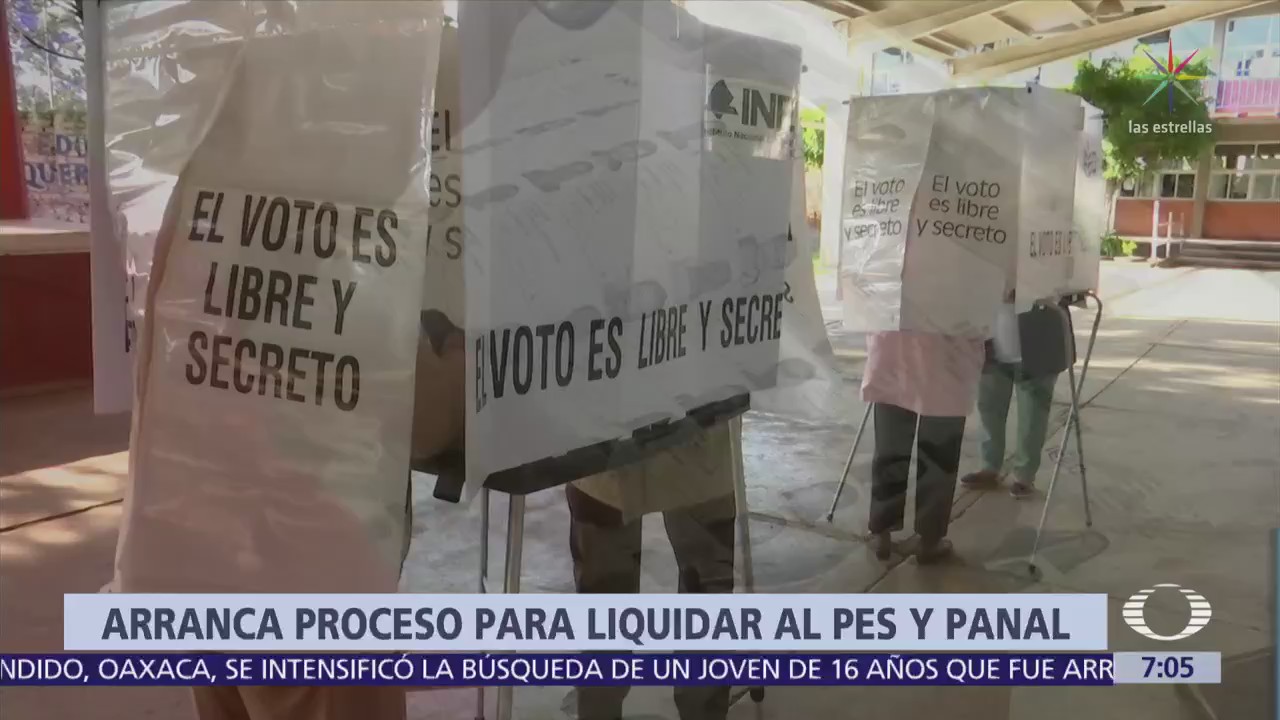 INE designa interventores para liquidar a Panal y PES