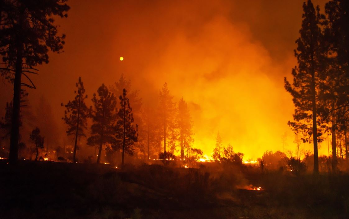 Desalojan a más de 10 mil personas por incendios forestales