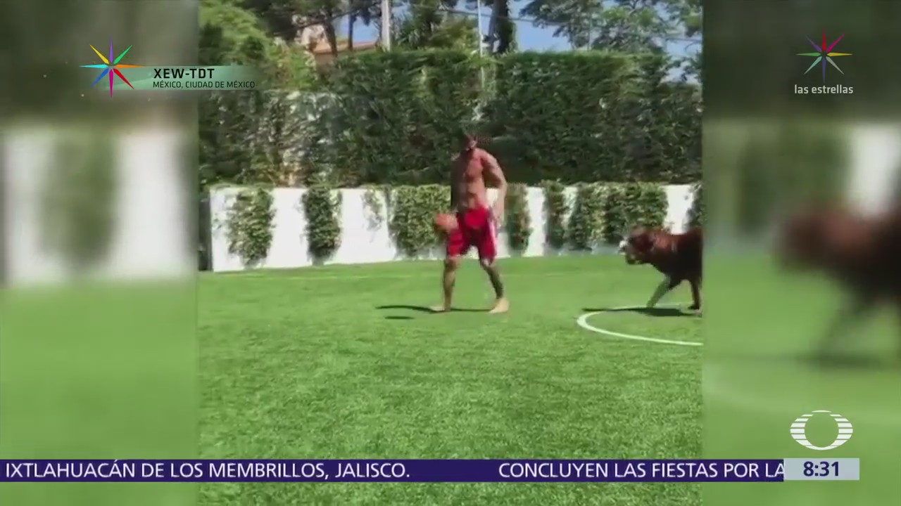 Messi juega futbol con su perro y se vuelve viral