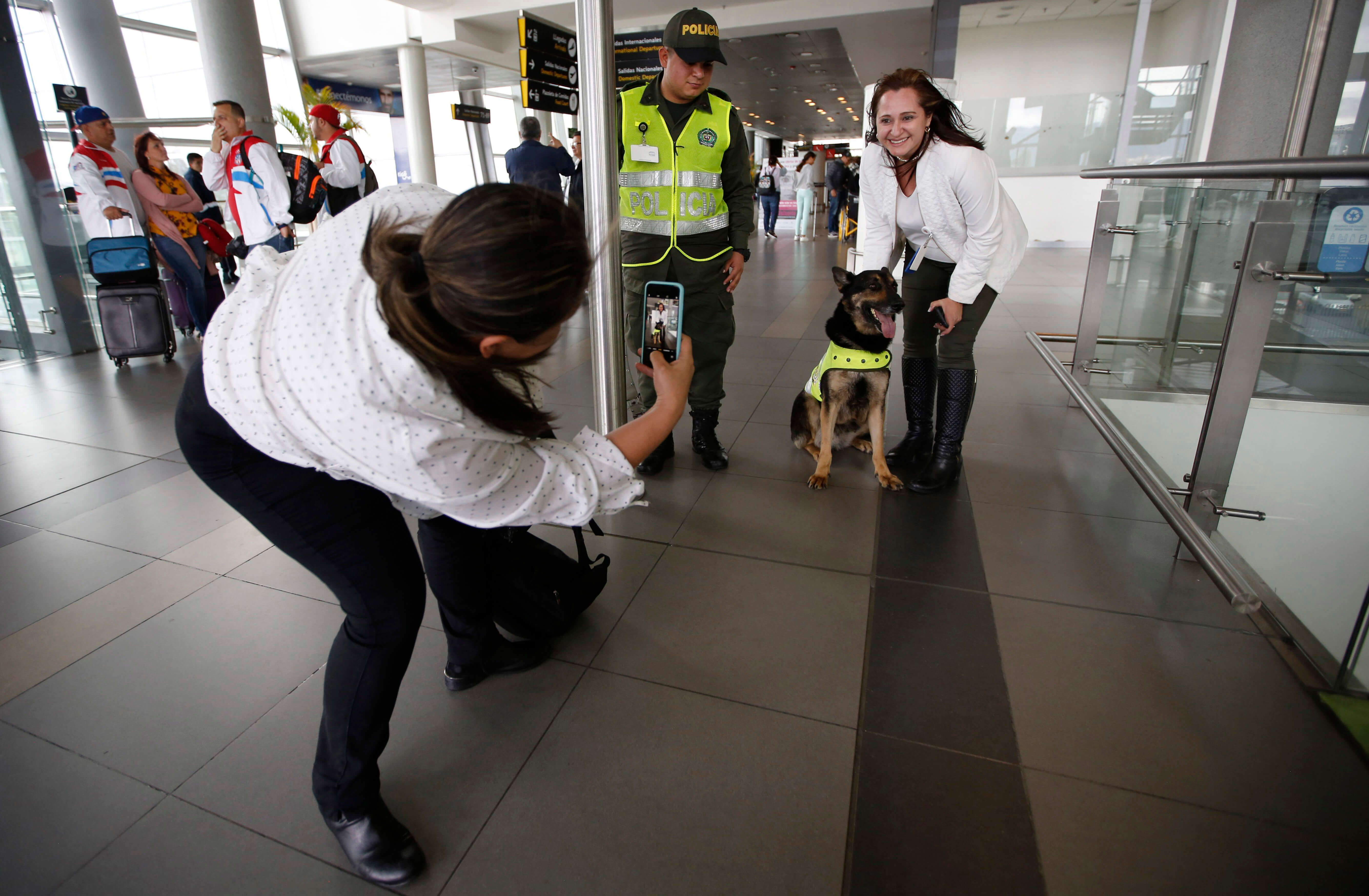 Narcos de Colombia ponen precio a cabeza de perra policía