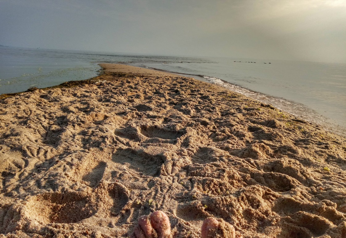 Polonia cierra playas por bacteria causada alta temperatura