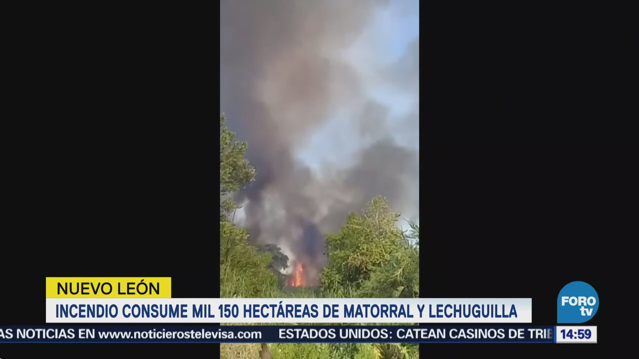 Incendio Consume 1,150 Hectáreas Matorral Nuevo León