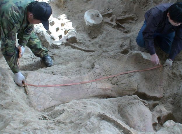 descubrimiento-fosiles-Lingwulong-shenqi-en-china