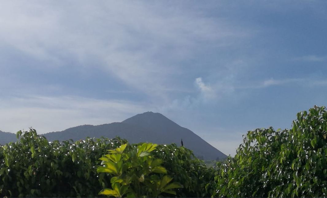 Volcán Pacaya en Guatemala registra flujo