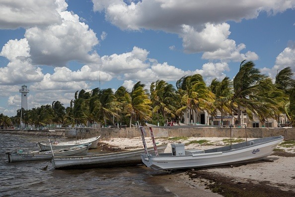 Sargazo llega a costas de Yucatán