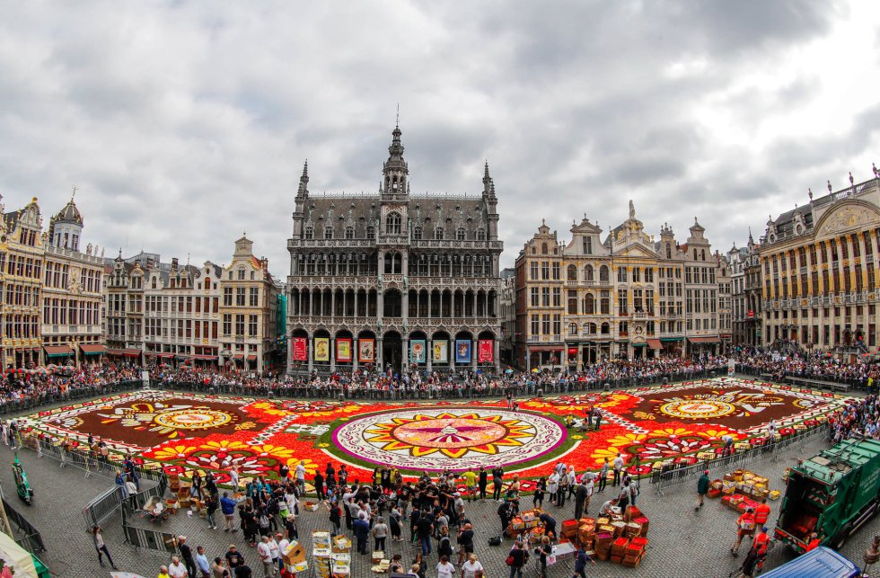 tapete-de-flores-a-grand-place-bruselas-belgica