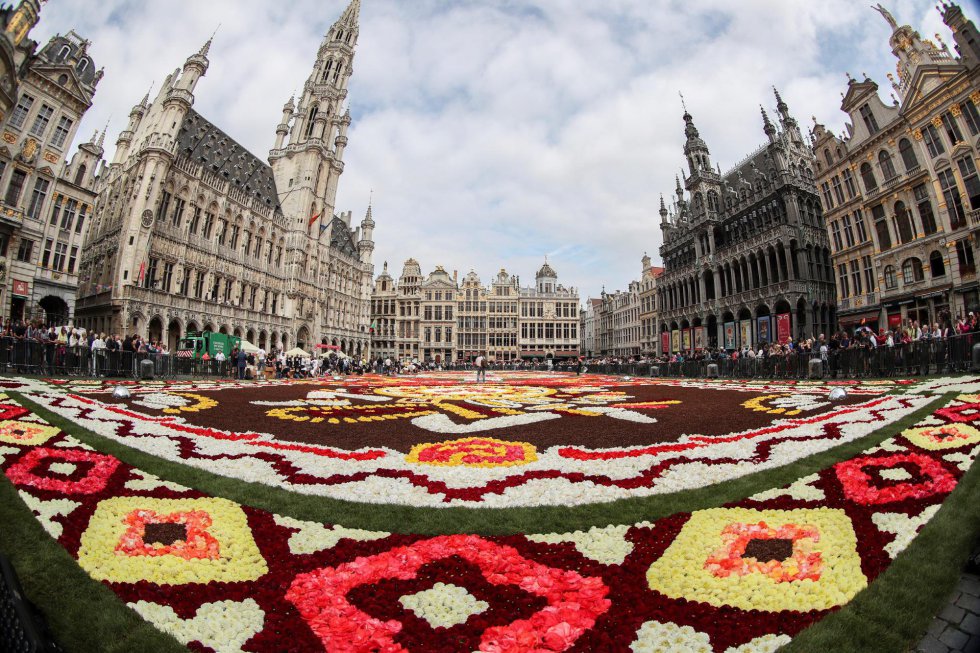 tapete-de-flores-a-grand-place-bruselas-belgica