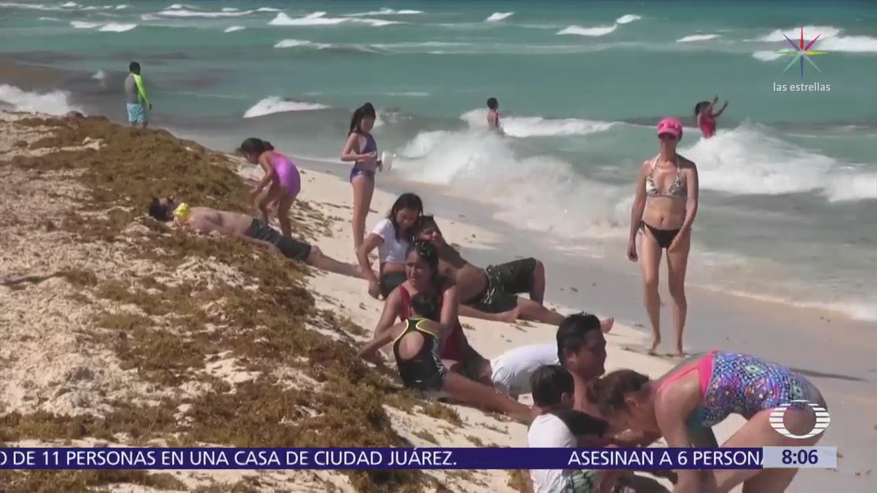 Aumento de sargazo en playas mexicanas, ¿a qué se debe?