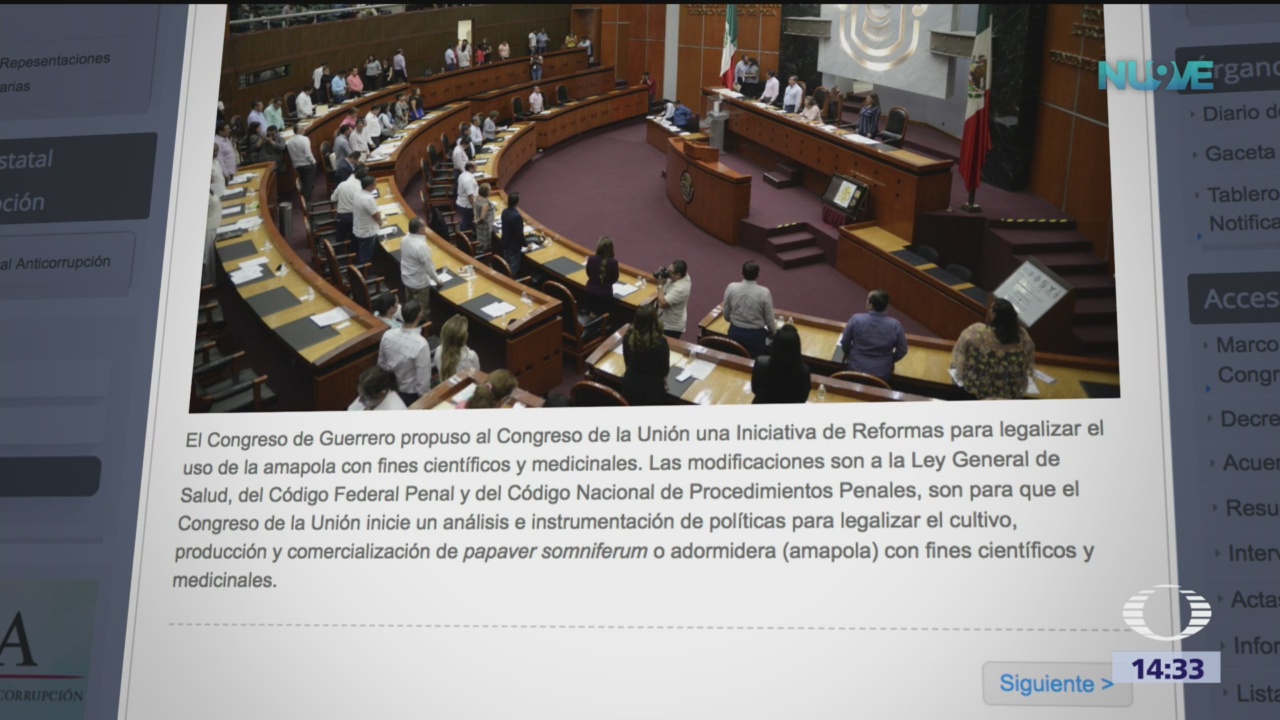 Congreso de Guerrero envía iniciativa de ley sobre amapola