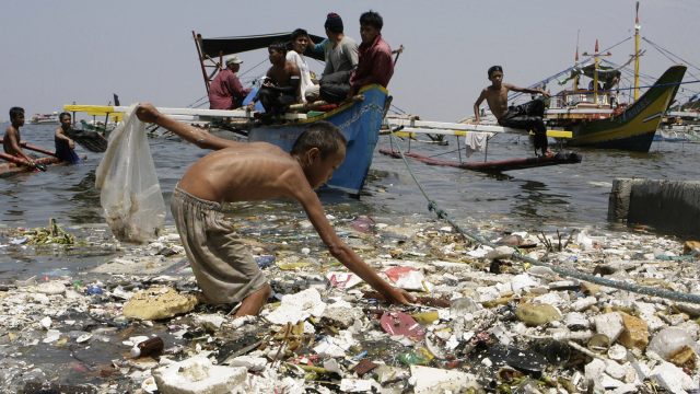 ¿Cómo podemos ayudar a frenar la contaminación del mar en México?