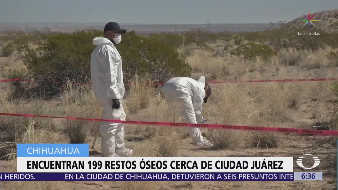 Descubren casi 200 restos óseos en Chihuahua