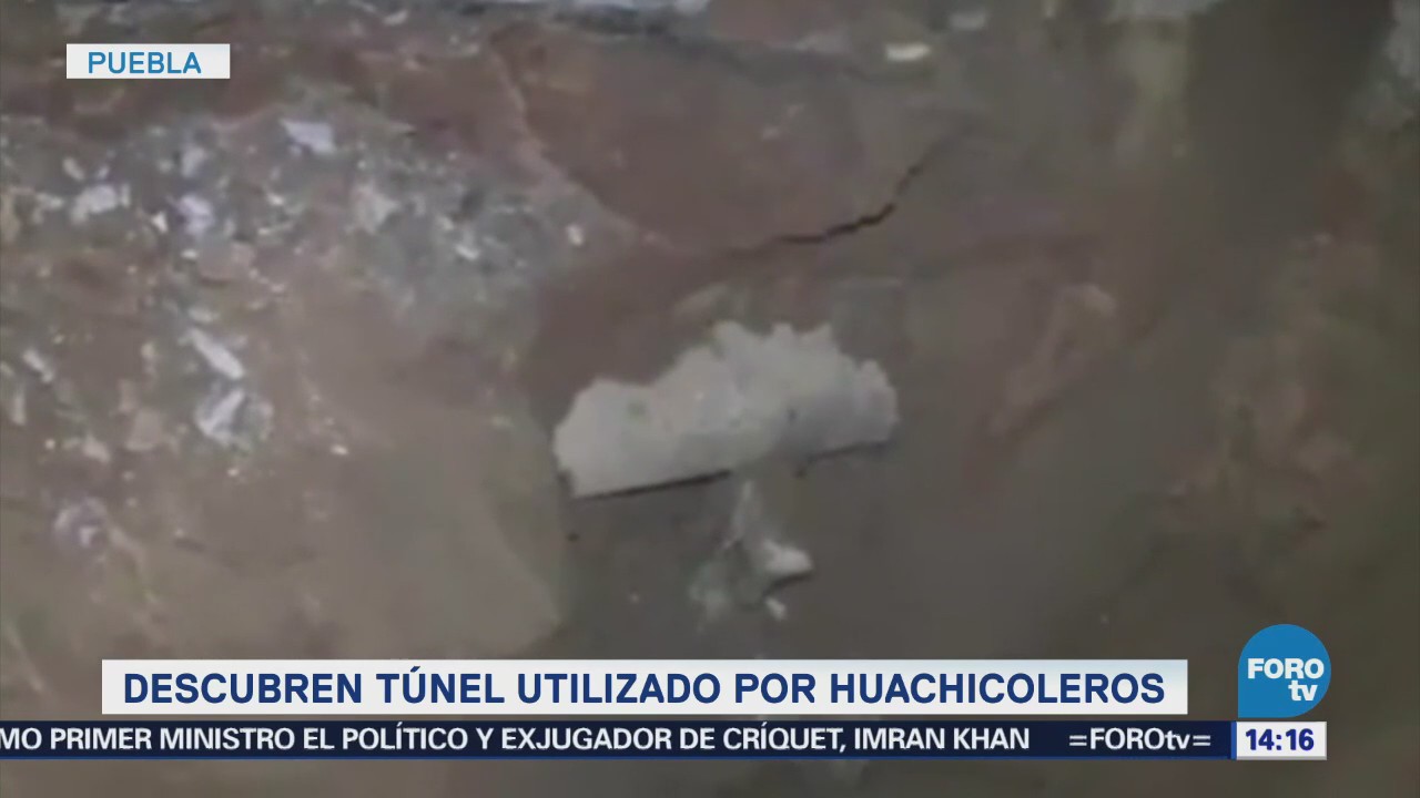 Descubren Túnel Utilizado Huachicoleros Puebla Denuncia Anónima Secretaría De La Defensa Nacional Pemex Toma Clandestina Hidrocarburo