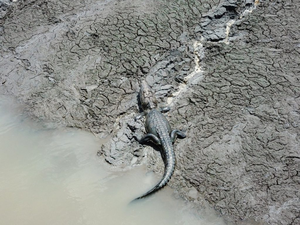 Detectan grietas y deslizamientos de tierra en Laguna de Chakanbakan