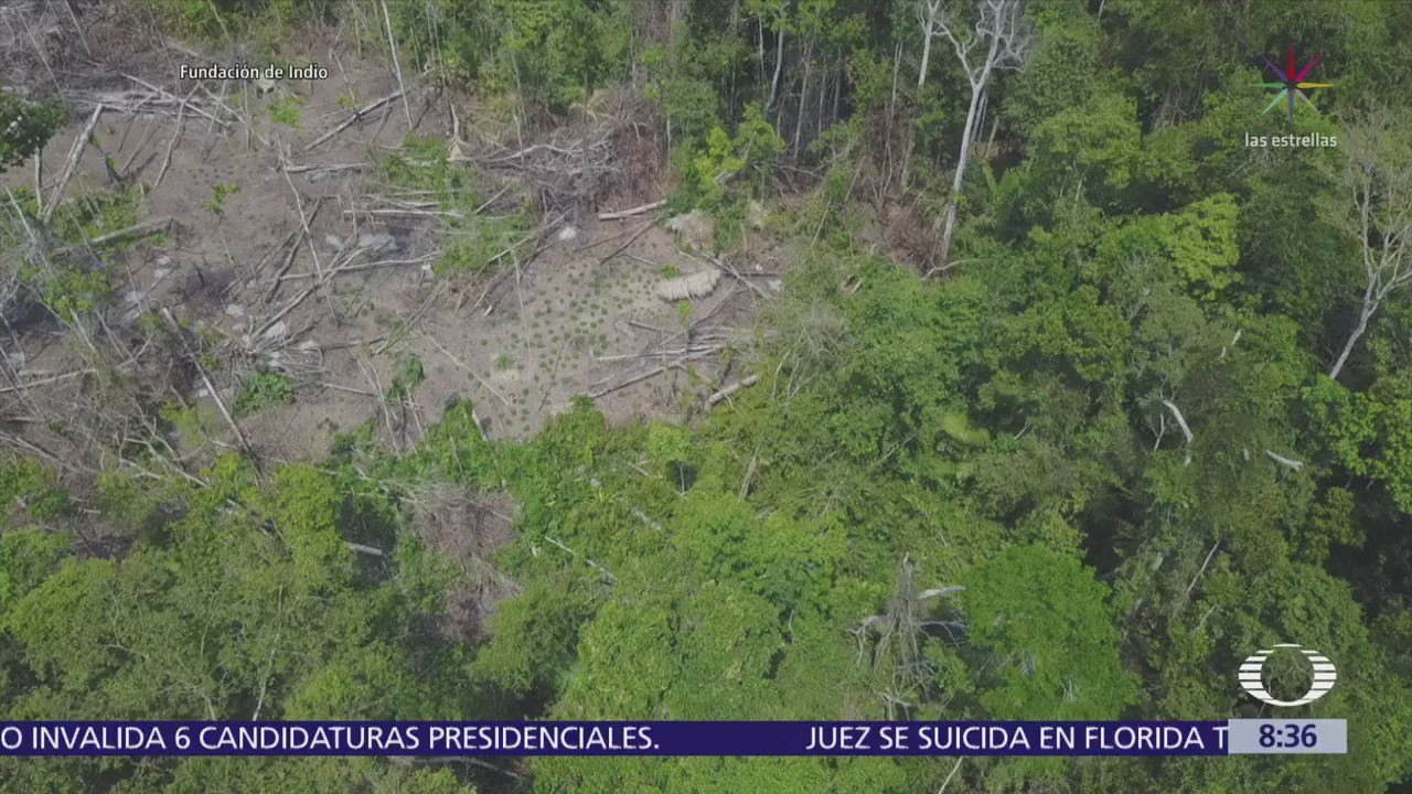 Dron monitorea a tribu de la Amazonía brasileña