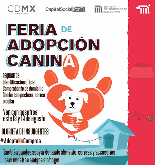 Feria Adopción Canina Perros Insurgentes Metro