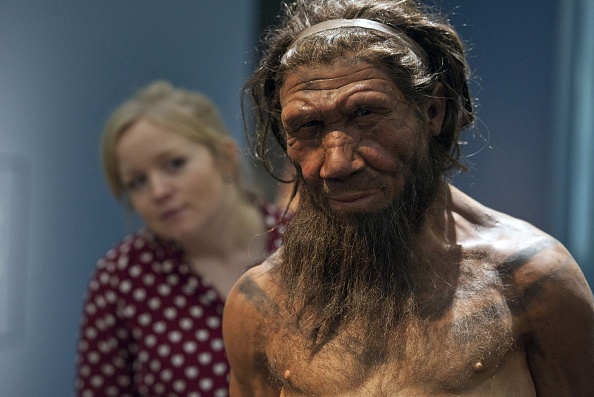 Neandertal pudo haber desaparecido debido al clima