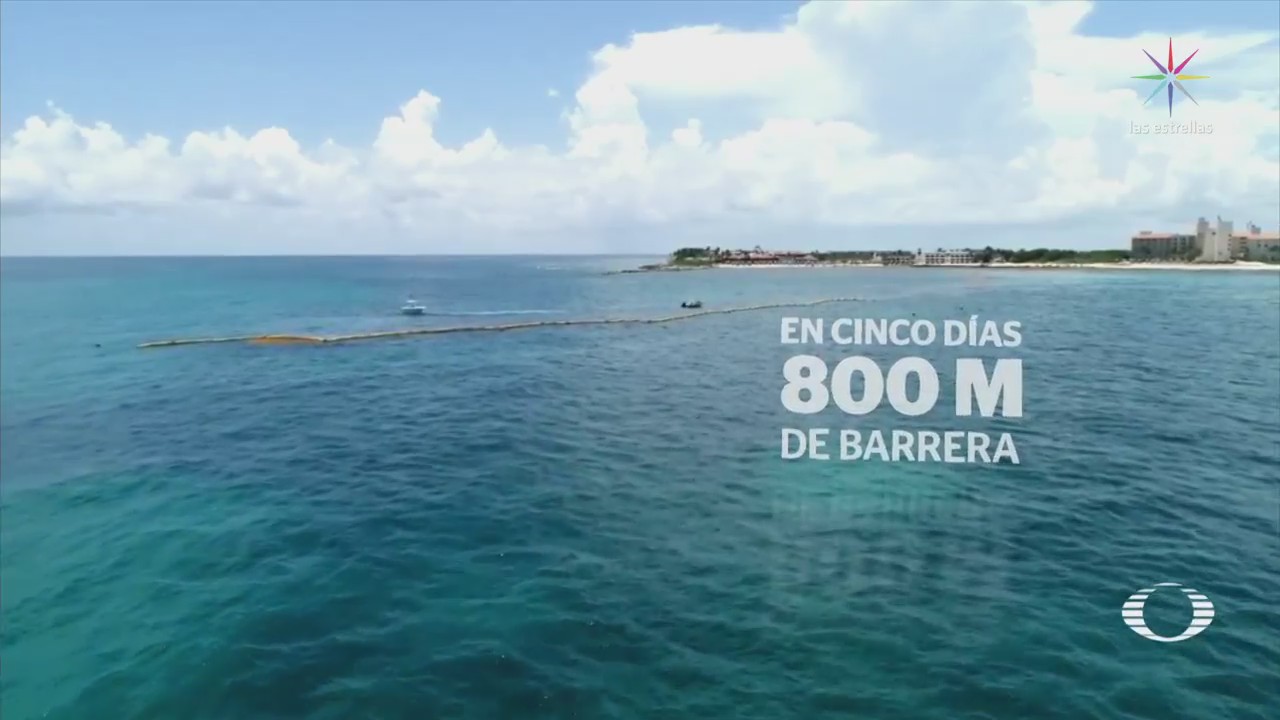Instalan barreras para sargazo llegue playas de Quintana Roo