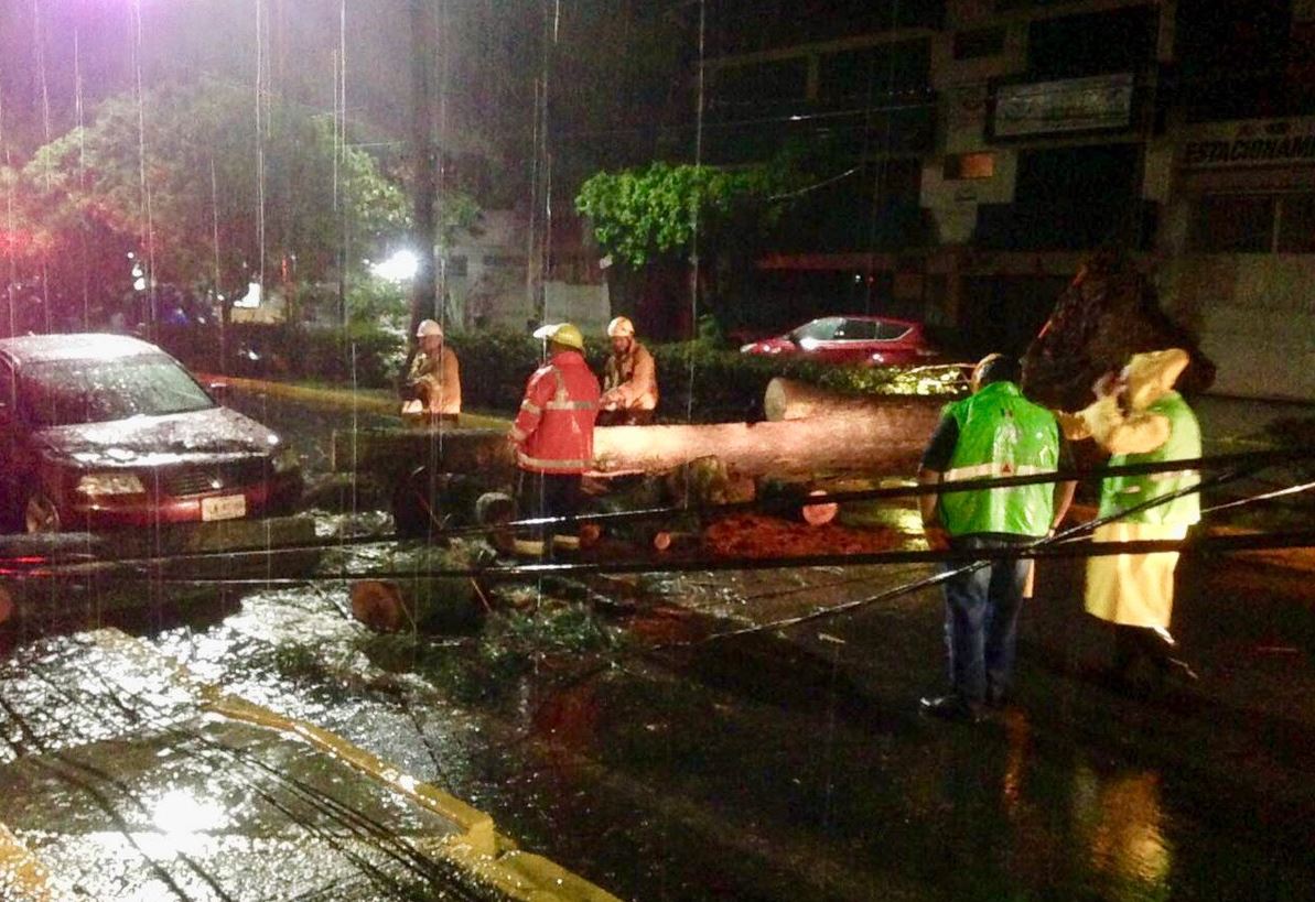 Lluvias en Oaxaca provocan inundaciones y caída de árboles