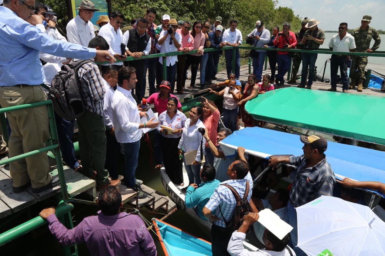 Ofrecen muestra de agua a Rafael Pacchiano tras muerte de manatíes