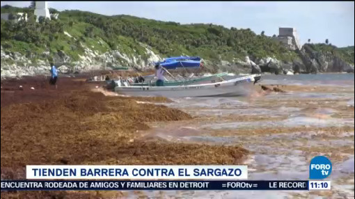 Extra Extra Barrera Contra El Sargazo Quintana Roo Autoridades De Quintana Roo Caribe Mexicano Playas