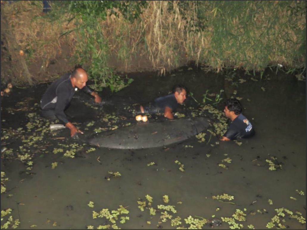 Muerte de manatíes en Tabasco, por agua contaminada