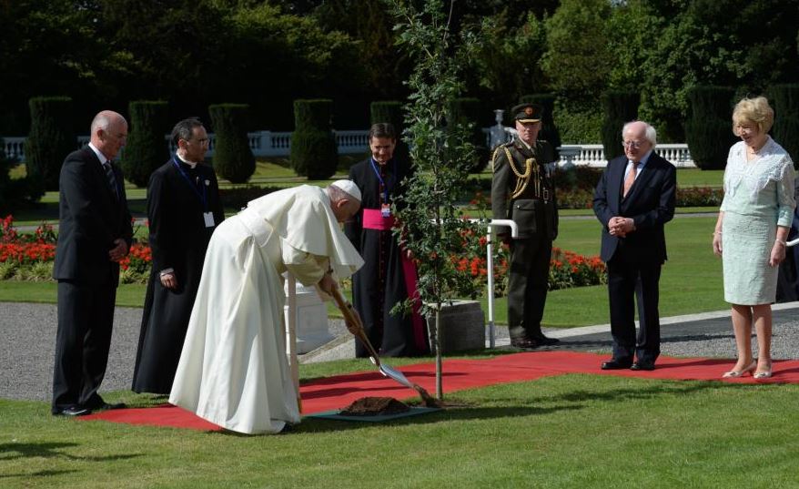Papa Francisco se reúne con presidente de Irlanda y planta árbol en Dublín